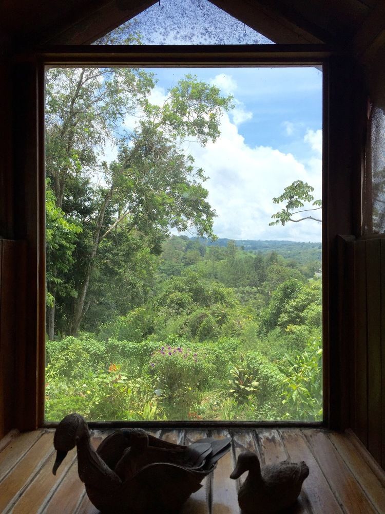 Chalet Nicholas Bed & Breakfast Nuevo Arenal Exterior foto